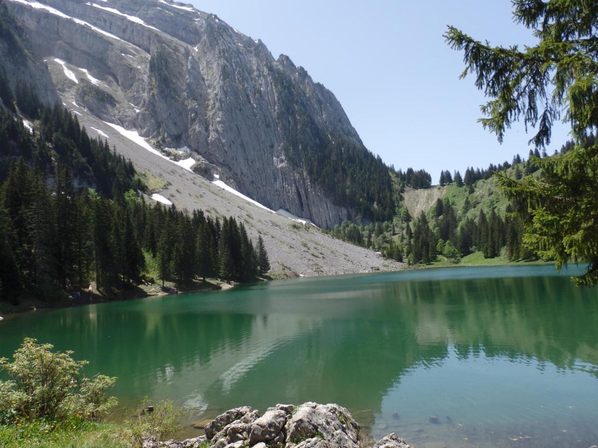 Marignier Au Coeur Des Alpes B&B 외부 사진